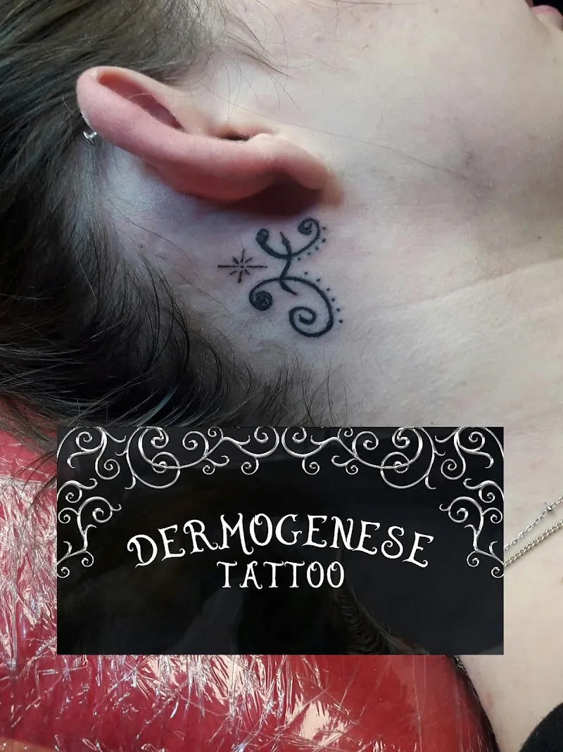 Dermogenese