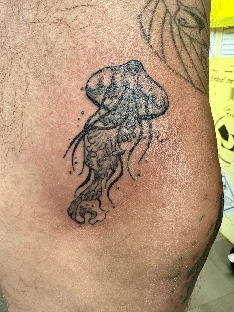 Galerie de tatouages 78 Fany Tattoobeaute et Cosmos Tattoos