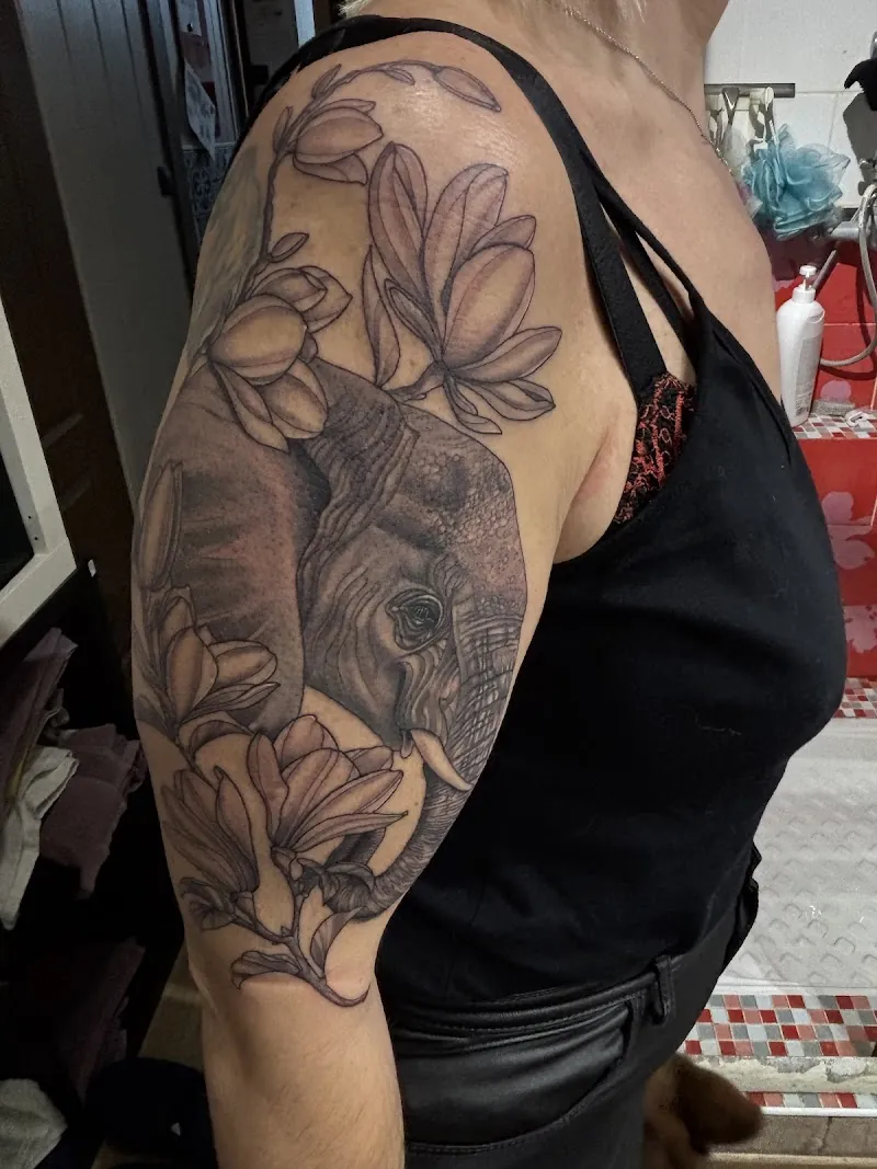 Fred-Ink