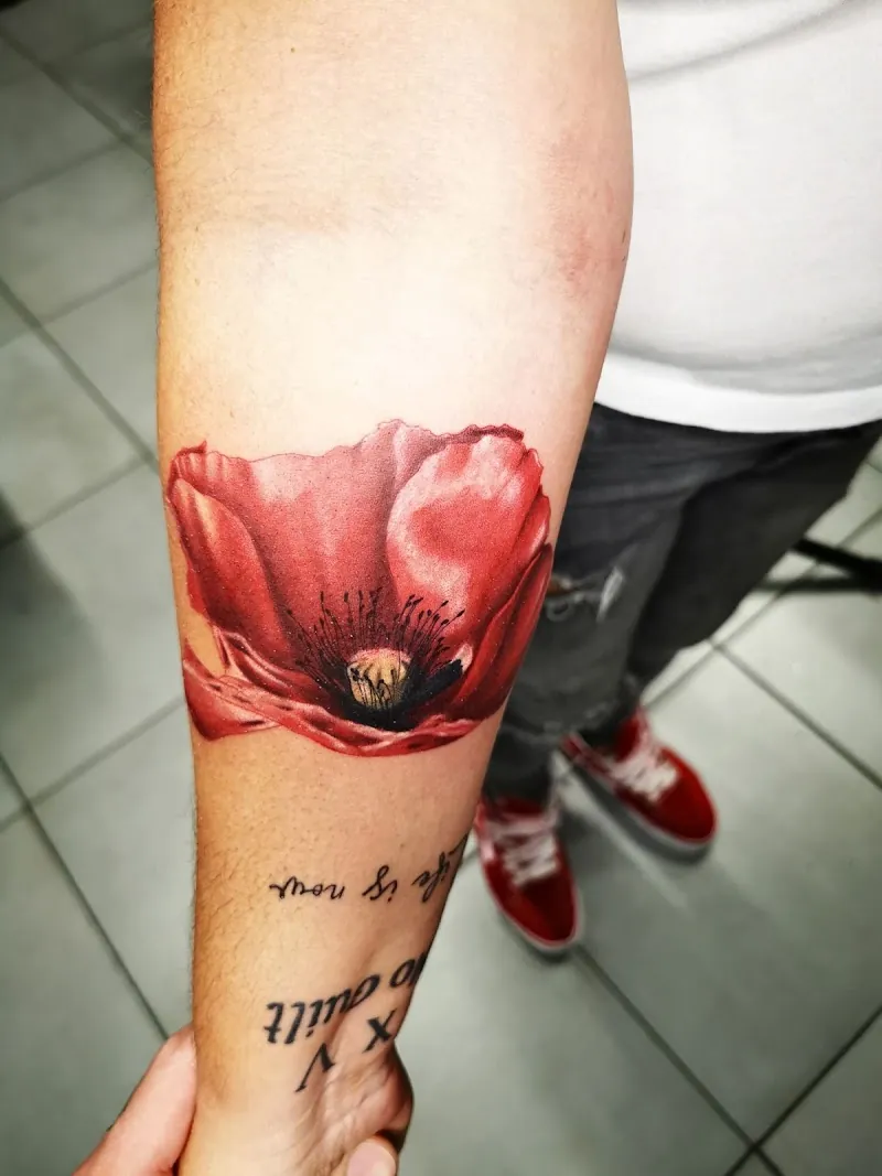 Galerie de tatouages 91 Hornet Studio