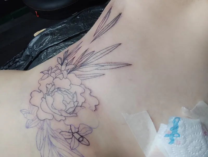 Les Fleurs Noires