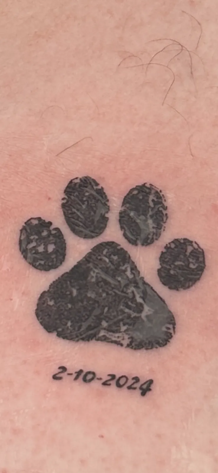 Galerie de tatouages 20 Walkin Tattoo Saintonge