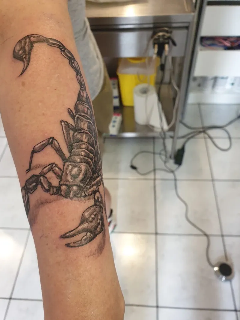 Arte Corpus