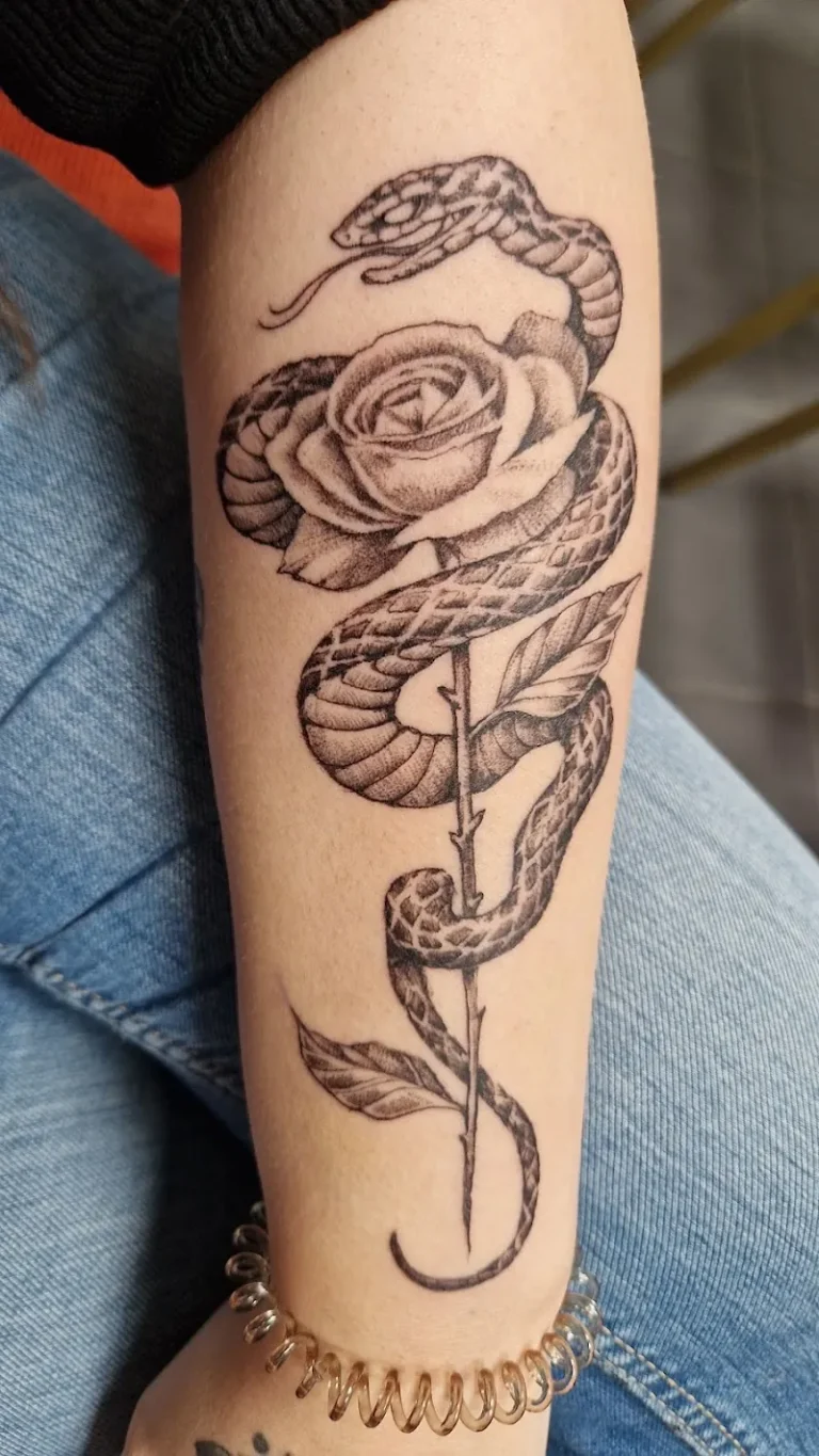 Arte Corpus 7 768x1365