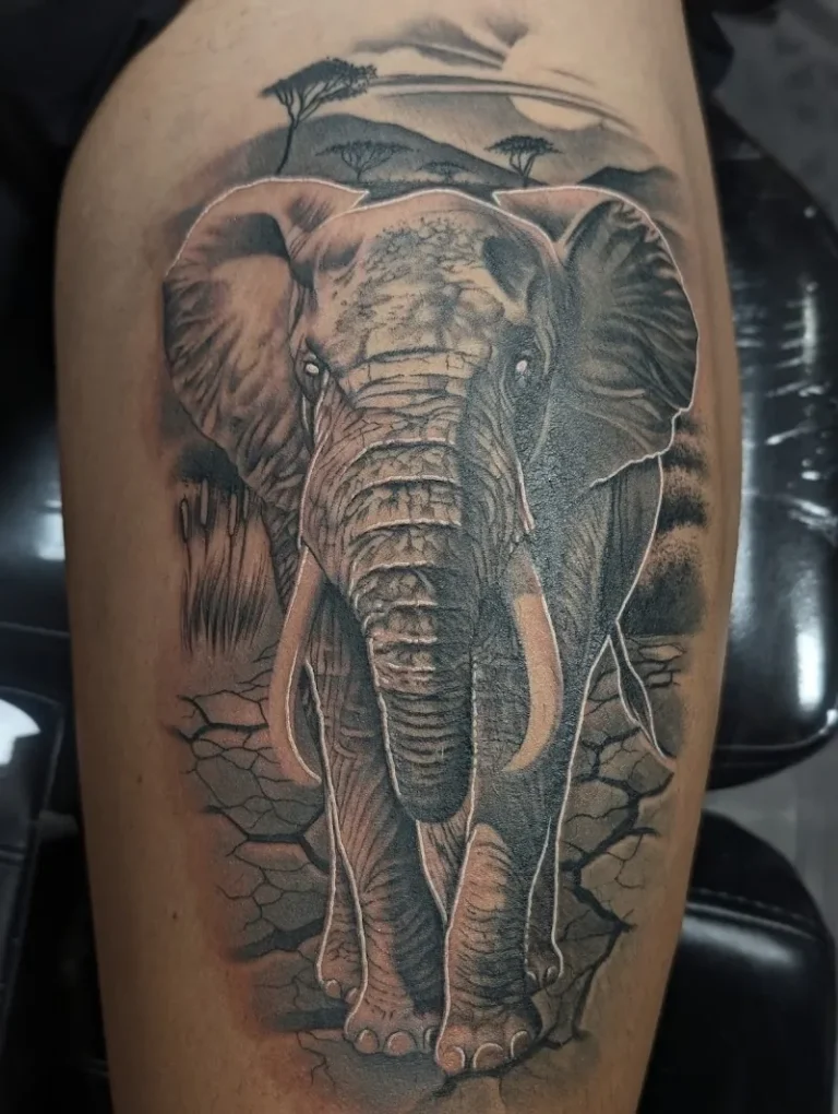 Artistes tatoueur Sylvain garcia 6 768x1020