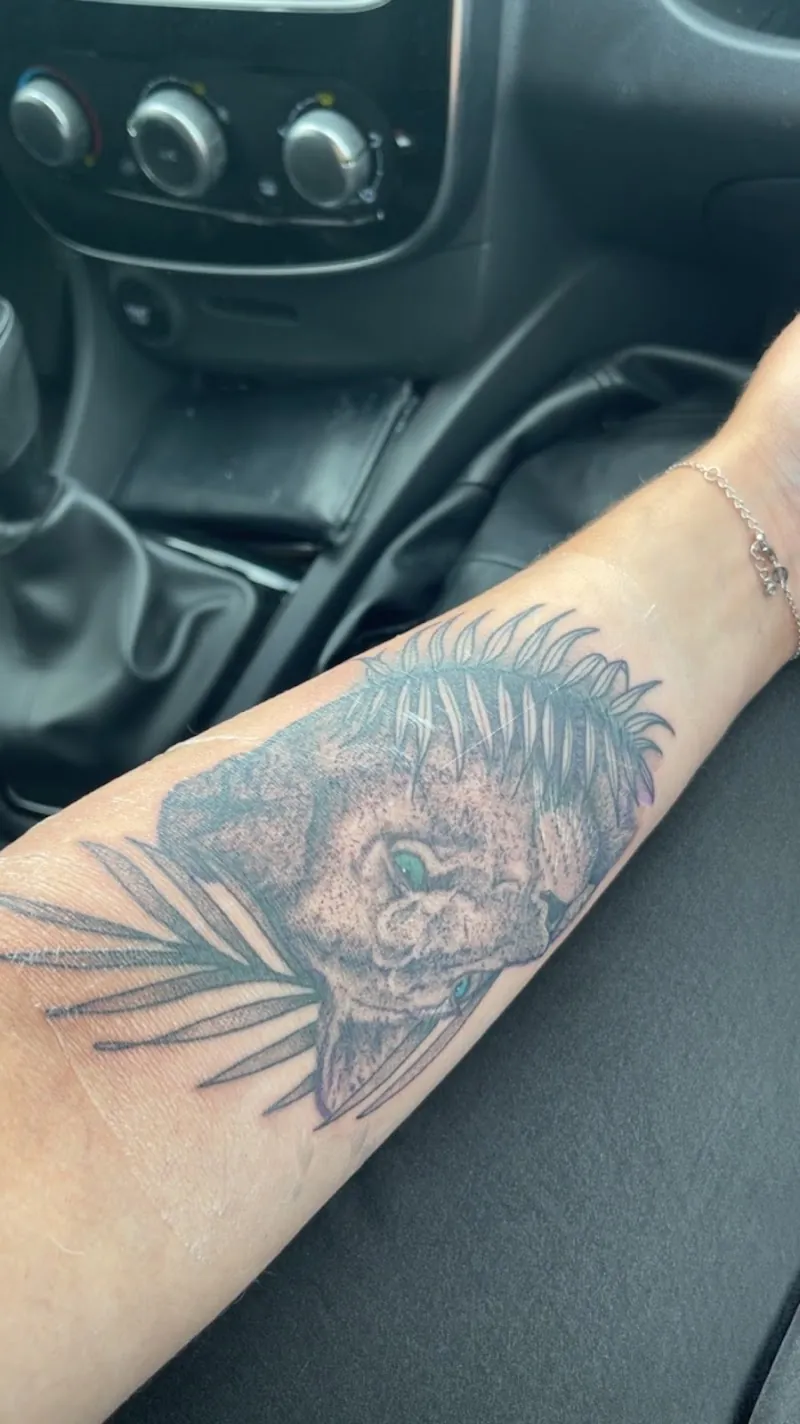 Galerie de tatouages 50 Beauty Tattoo Shop