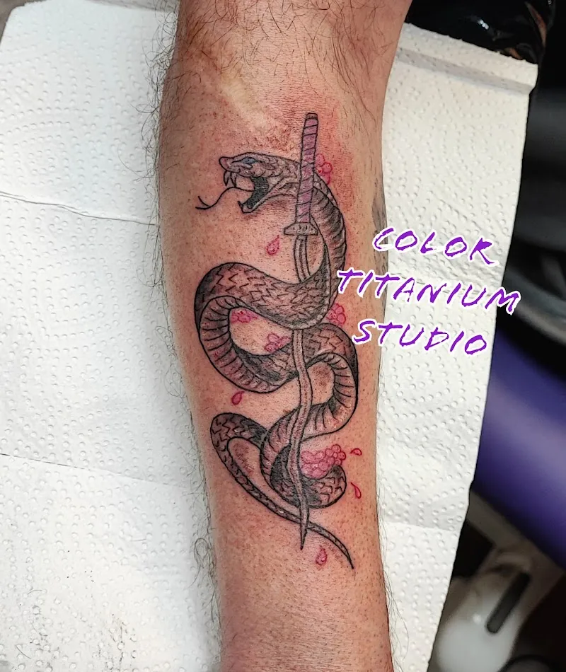 Galerie de tatouages 32 Color Titanium Studio