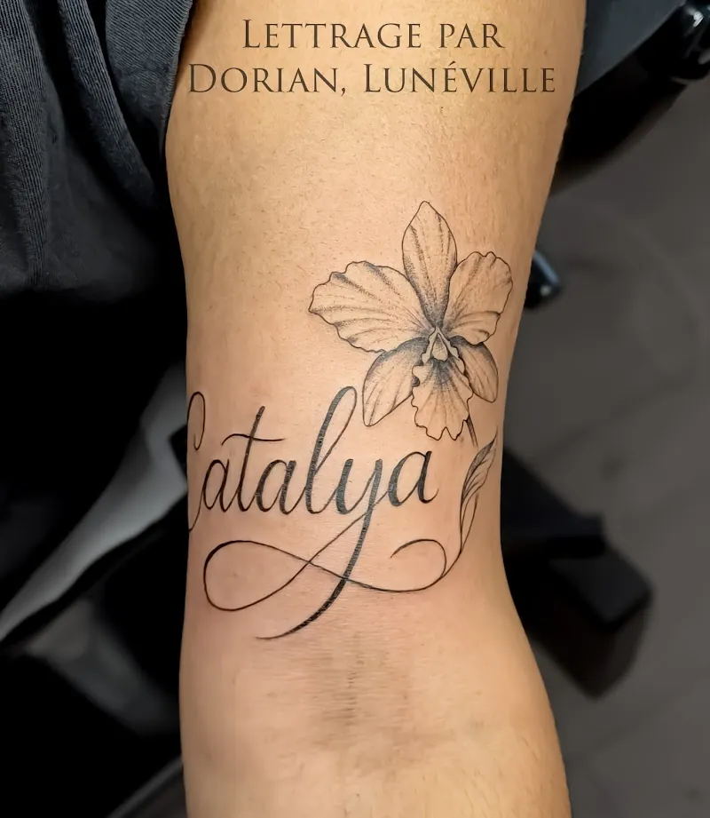 Dorian Studio