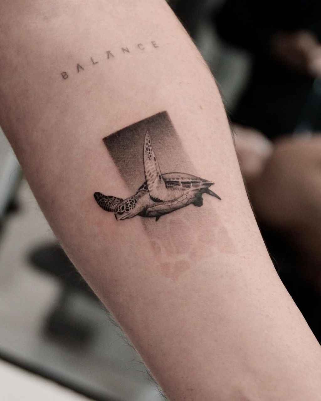 Détail tatouage micro-réalisme tortue_1