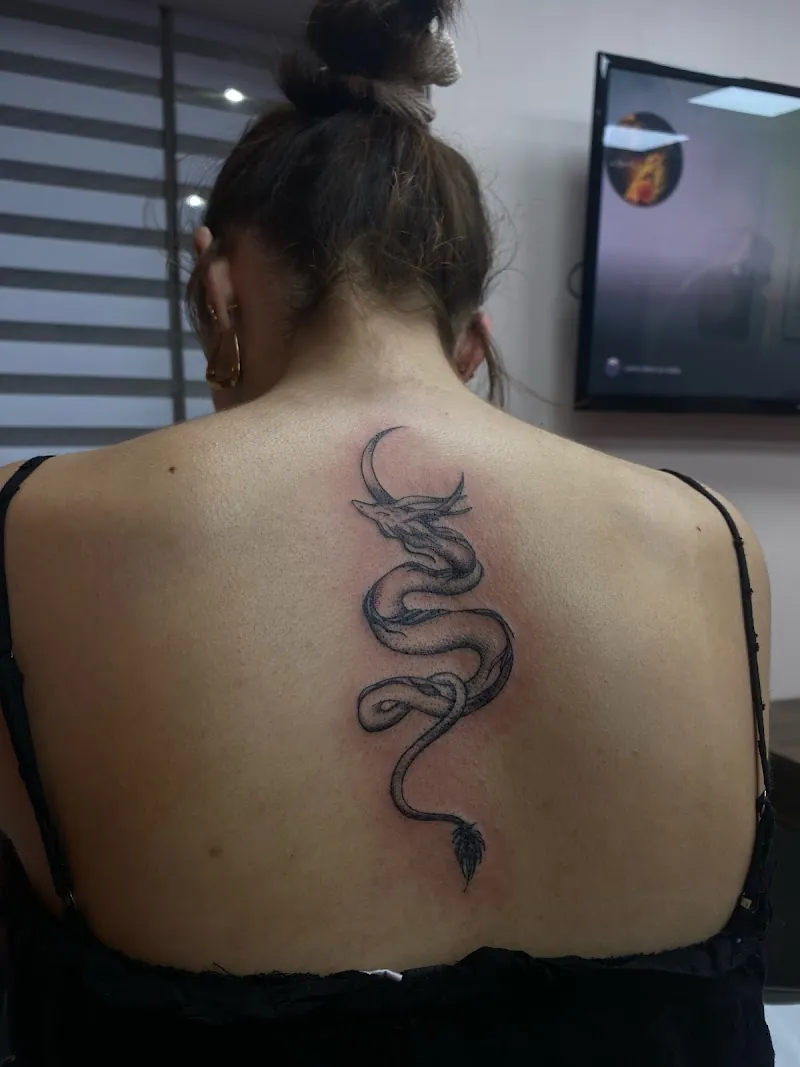 Drawtattoo / Drawbooking