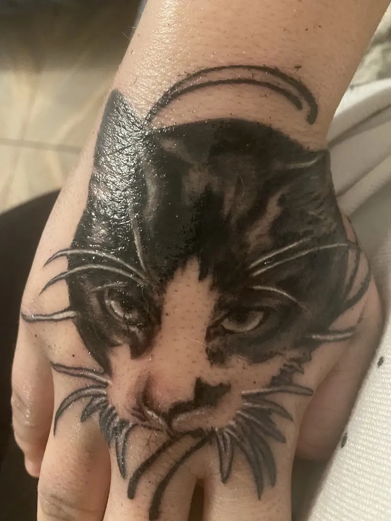 Ferro Picta Tatouage