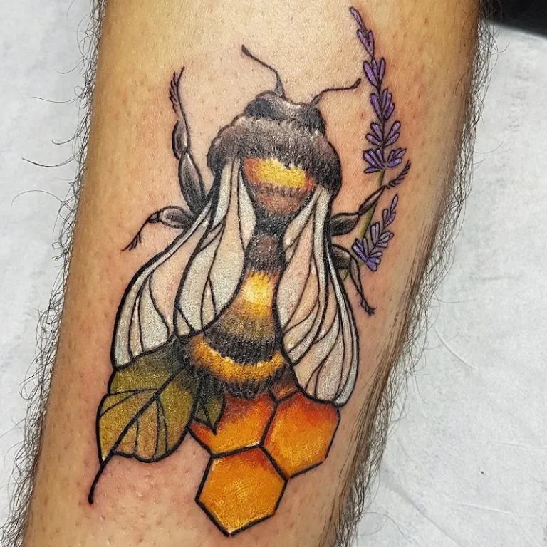 Ferro Picta Tatouage 3 768x768
