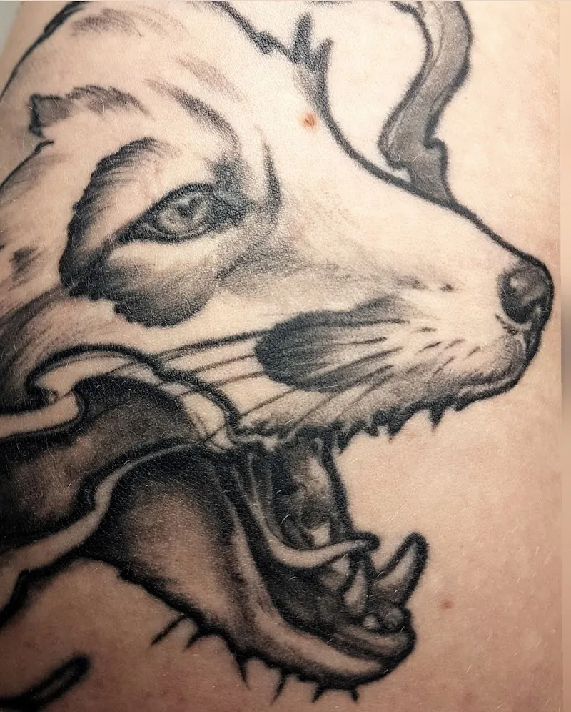 Ferro Picta Tatouage