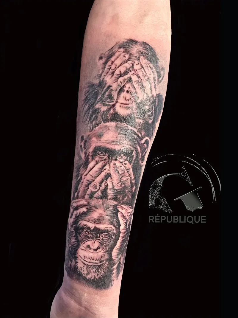 Graphicaderme république