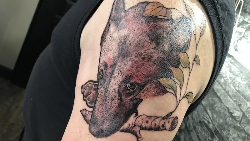 Galerie de tatouages 30 Jull'S Tatouage