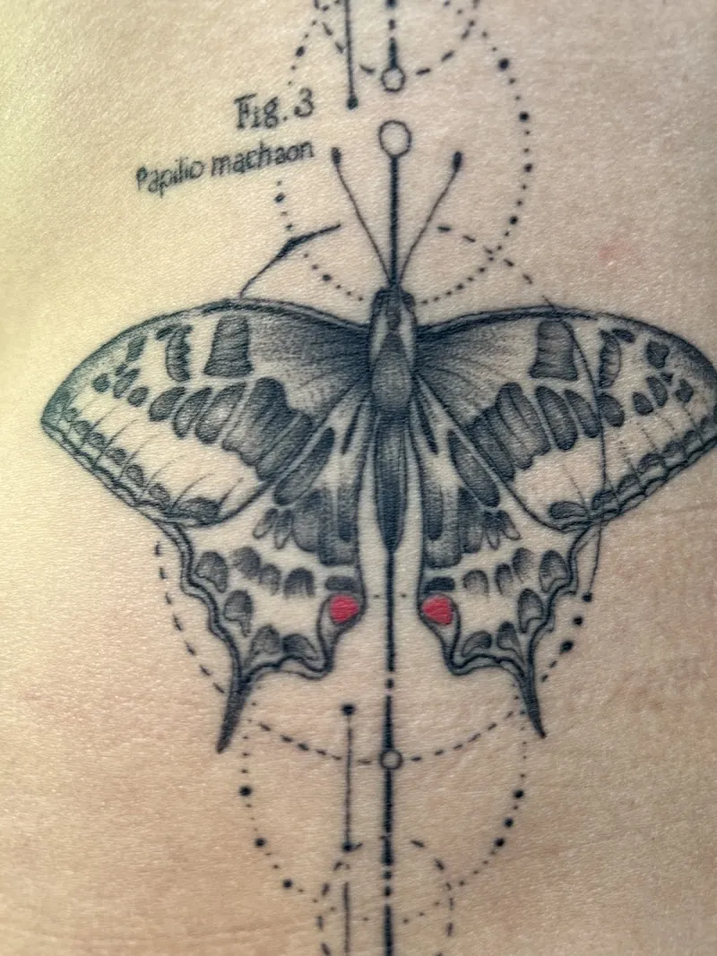 Galerie de tatouages 26 La Maison Tattoo