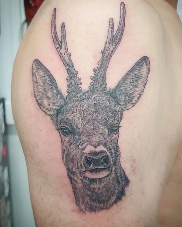 Galerie de tatouages 2 Lion'L Tatouage