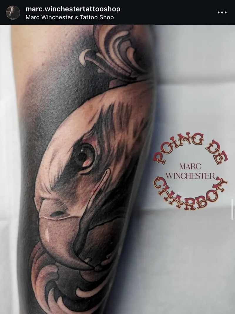 Galerie de tatouages 27 Marc Winchester'S