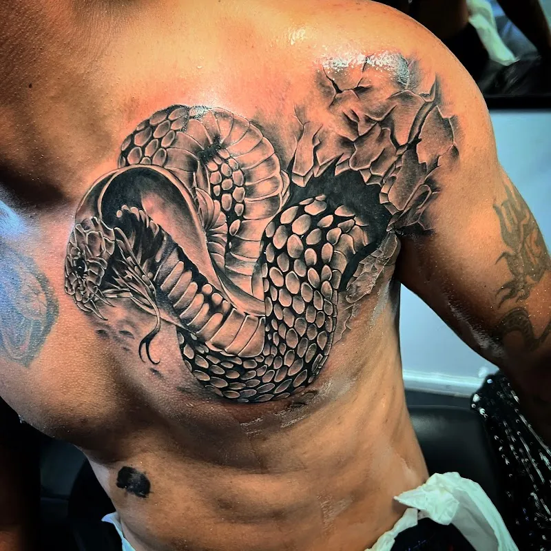Next Tattoo Logistique