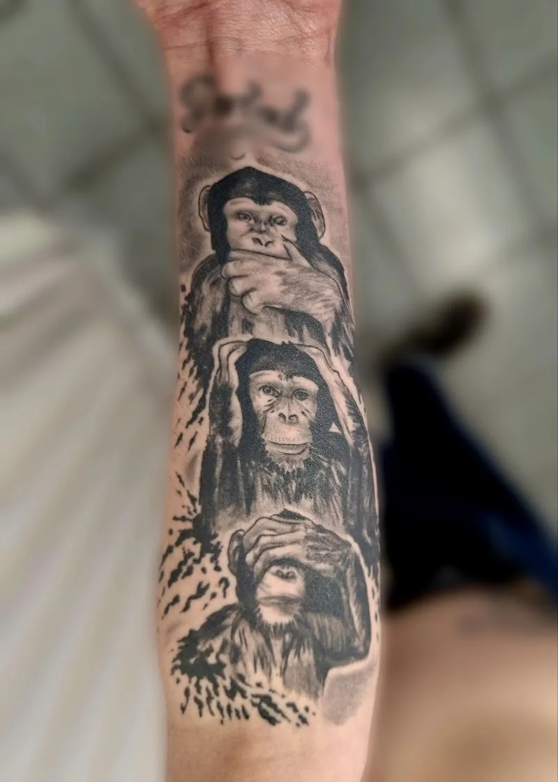 Galerie de tatouages 7 Shark'S Tattoo
