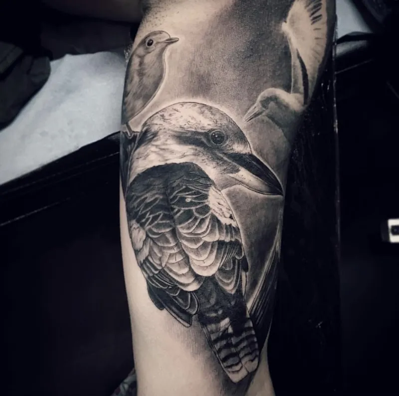 Galerie de tatouages 6 Tit For Tat