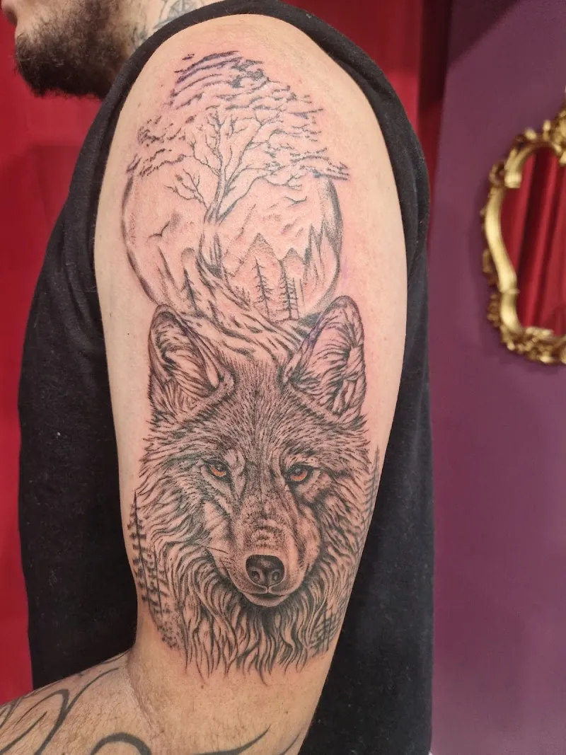 Galerie de tatouages 49 Wild Steel