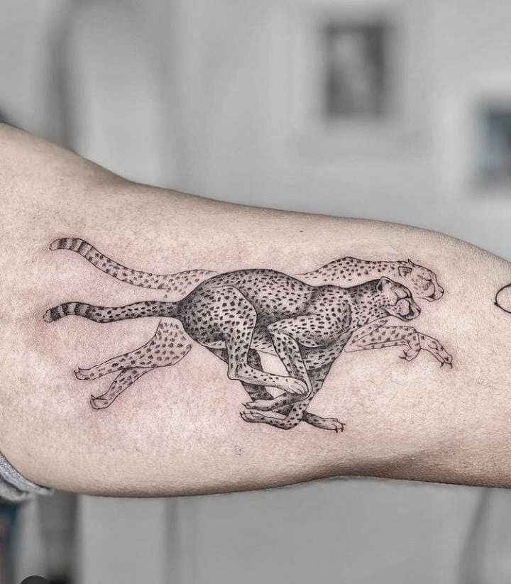 tatouage Fine Line animal_3_11zon