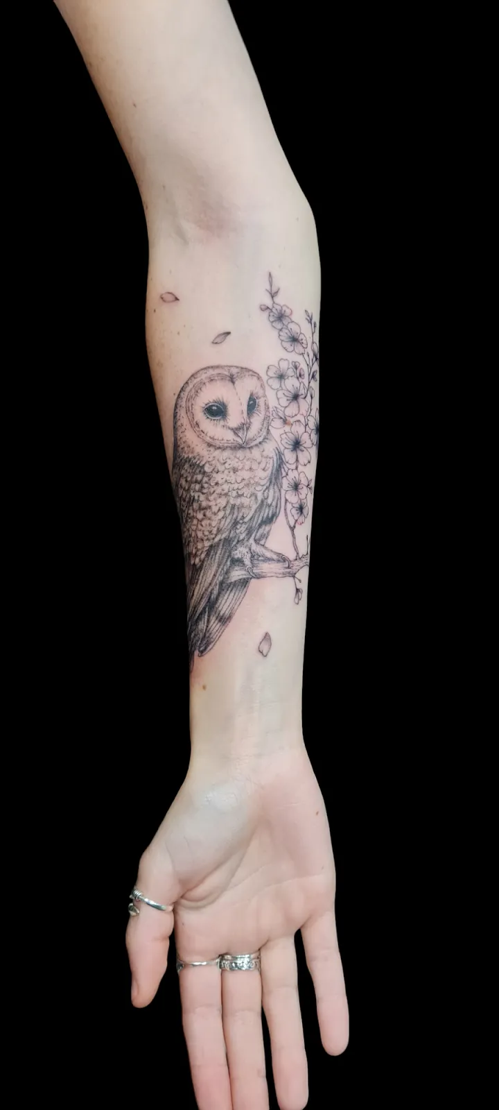 Galerie de tatouages 63 Audy Tattoo