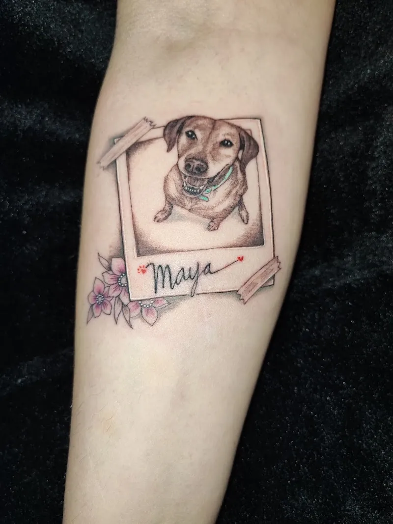 Galerie de tatouages 62 Audy Tattoo