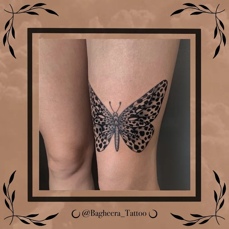 Galerie de tatouages 90 Bagheera Tattoo