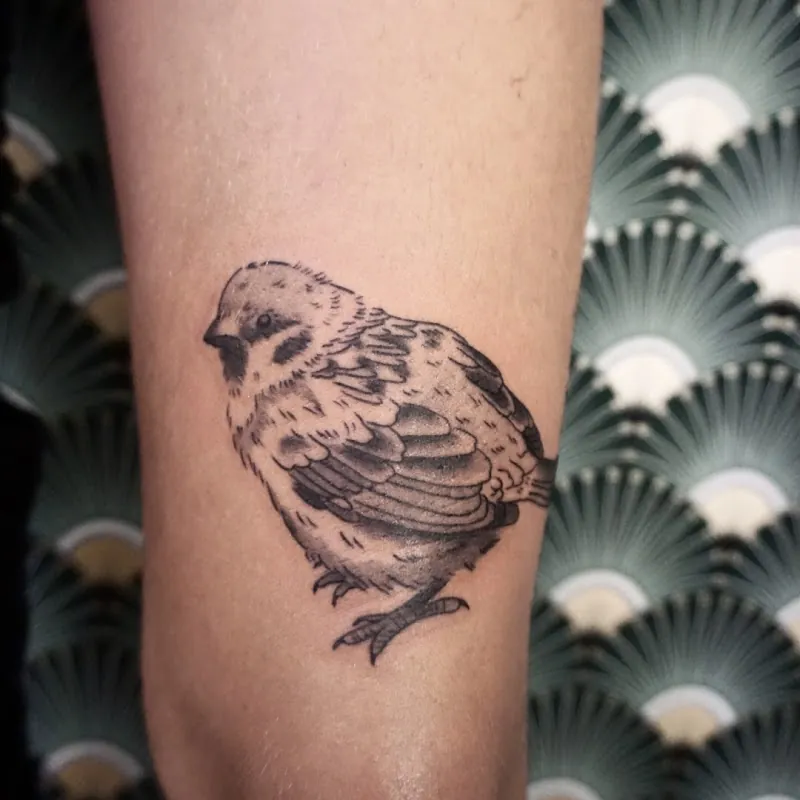 Galerie de tatouages 54 La 11E Porte