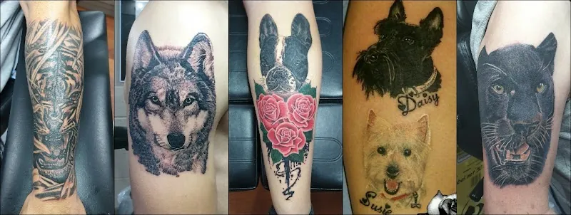 Galerie de tatouages 12 Pattoo' Tattoo