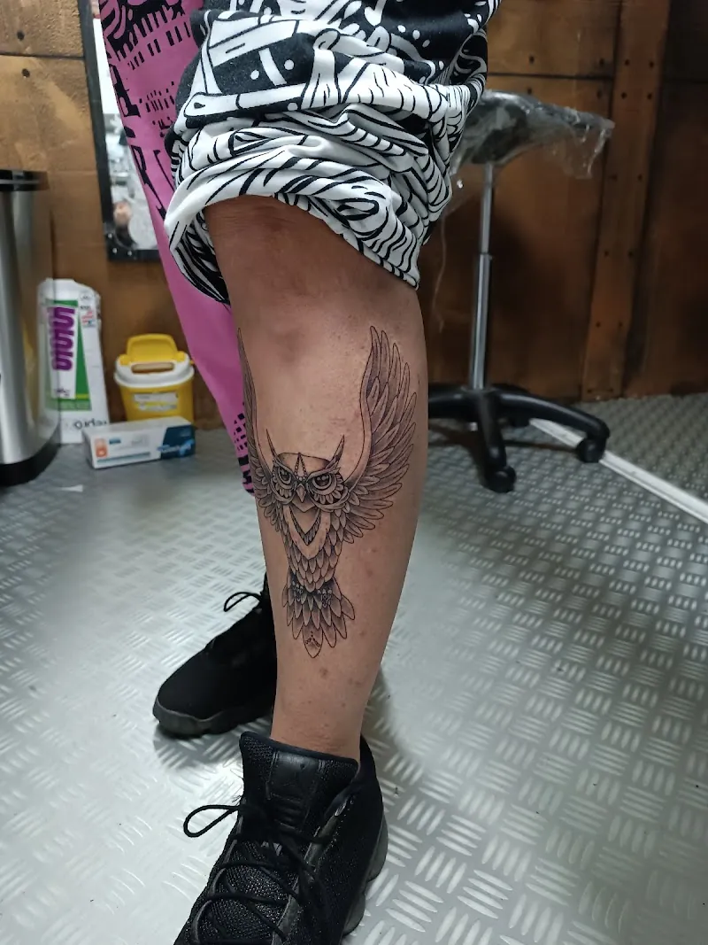 Galerie de tatouages 32 Sphinx Studio