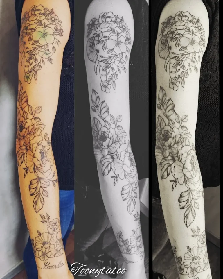 Toonytatoo 1 768x960