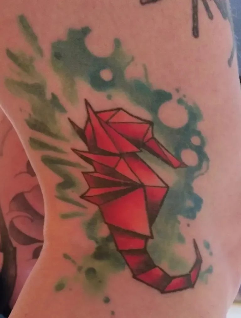 Zelda BJJ  studio Neossia 7 1 768x1014