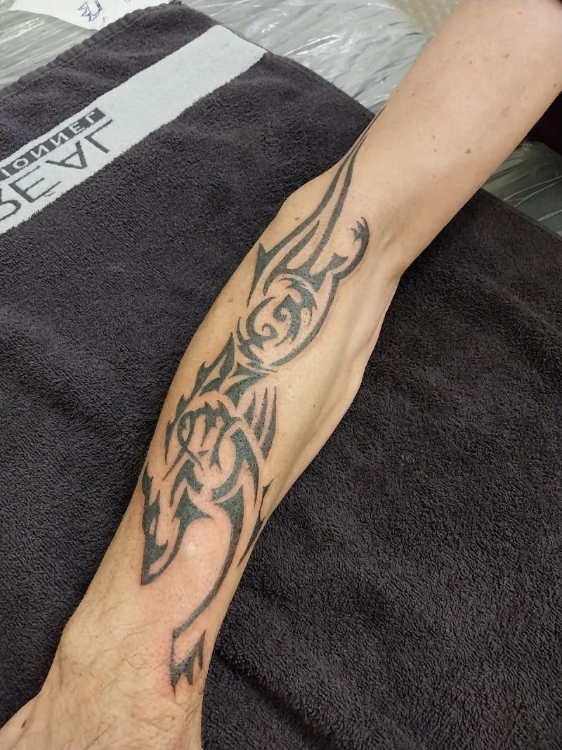 Galerie de tatouages 35 Tattoo Concept Ink